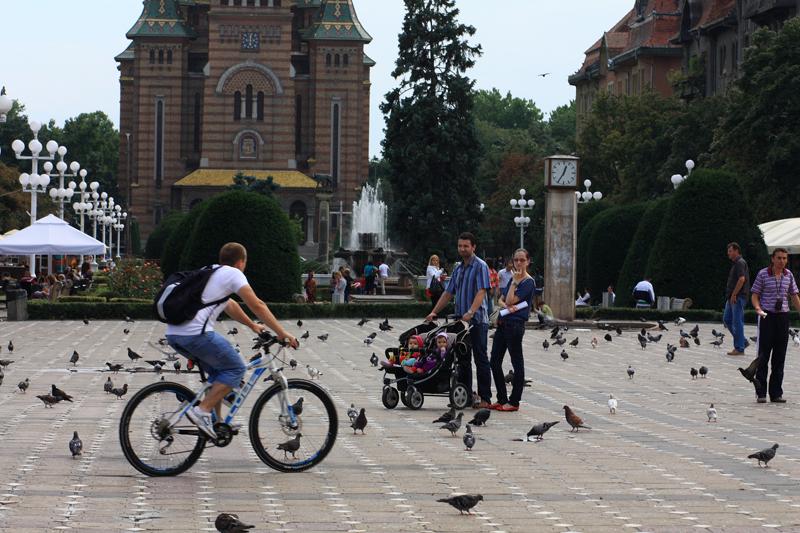 36-Timisoara,2 agosto 2011.JPG